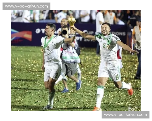 非洲杯精彩尽在掌握，畅享体育盛宴的最佳入口